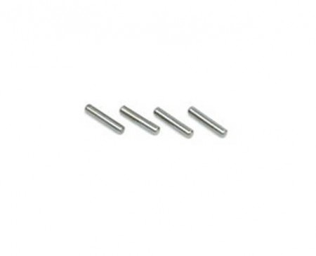 Set of 4 pins (for Engraver's Pegclamp) 265.0501